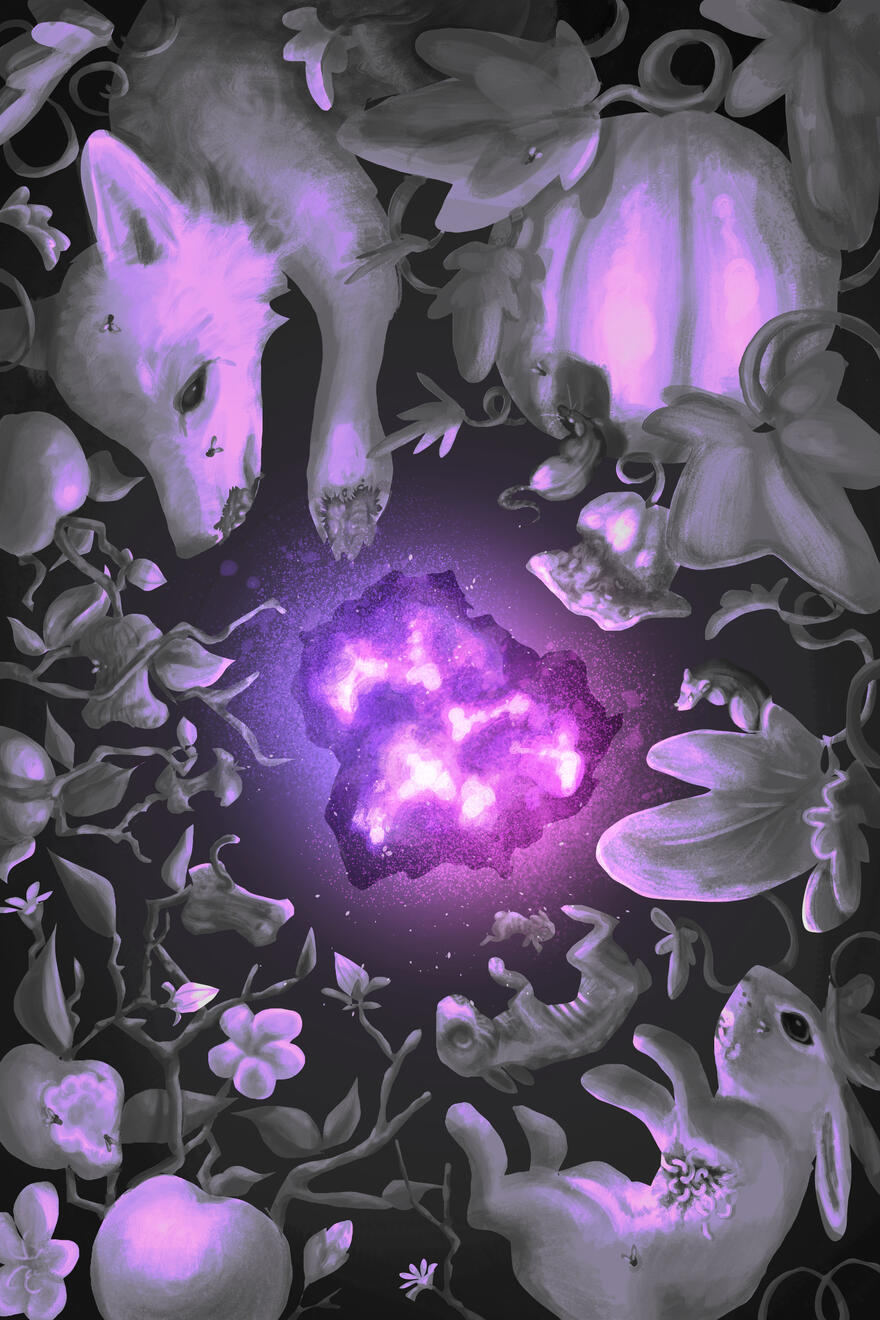 The Colour out of Space Cover Project