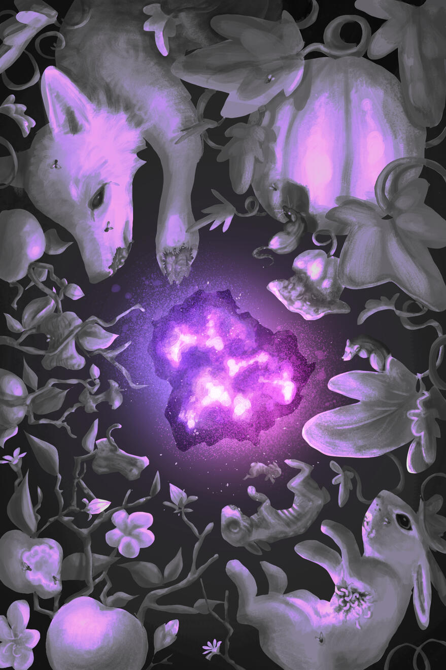 The Colour Out of Space, Cover